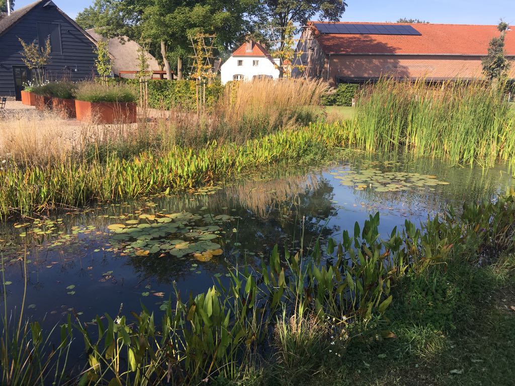 20-09-2017duurzame_landelijke_tuin_zwemvijver_nl_greenlabel_breda_oosterhout_den_hout_waalwijk-1