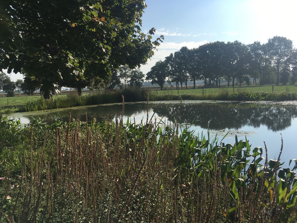 20-09-2017duurzame_landelijke_tuin_zwemvijver_nl_greenlabel_breda_oosterhout_den_hout_waalwijk-2