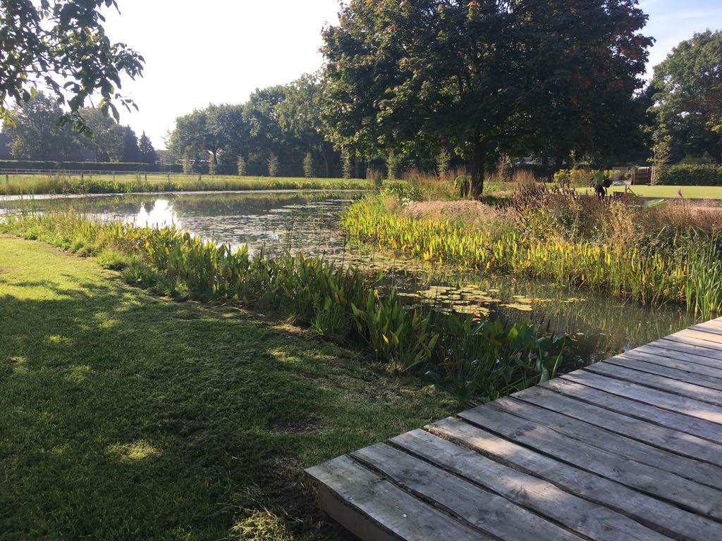 20-09-2017duurzame_landelijke_tuin_zwemvijver_nl_greenlabel_breda_oosterhout_den_hout_waalwijk-3