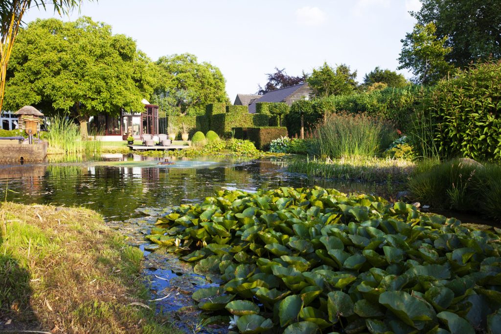 02-03-2019klassieke_romantische_tuin_vijver_vlonder_den_hout_tuinaanleg_ontwerp_breda (3)